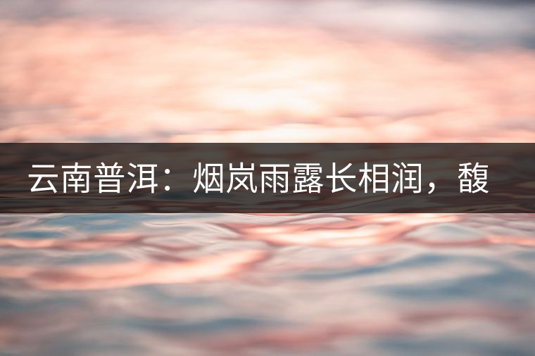 云南普洱：煙嵐雨露長(zhǎng)相潤(rùn)，馥郁芳香久久留