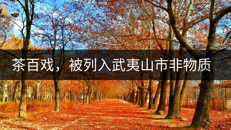 茶百戲，被列入武夷山市非物質(zhì)文化遺產(chǎn)的茶湯