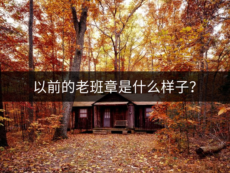 以前的老班章是什么樣子？