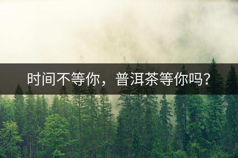 時(shí)間不等你，普洱茶等你嗎？