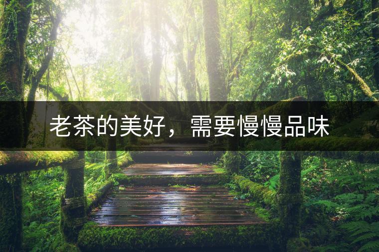 老茶的美好，需要慢慢品味