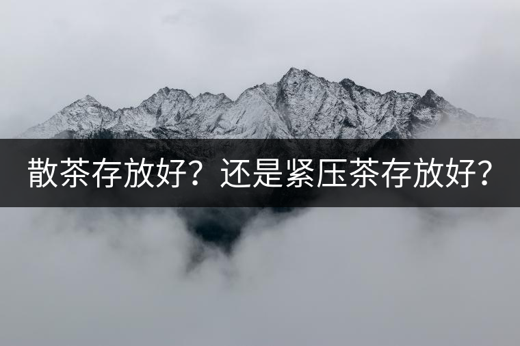 散茶存放好？還是緊壓茶存放好？