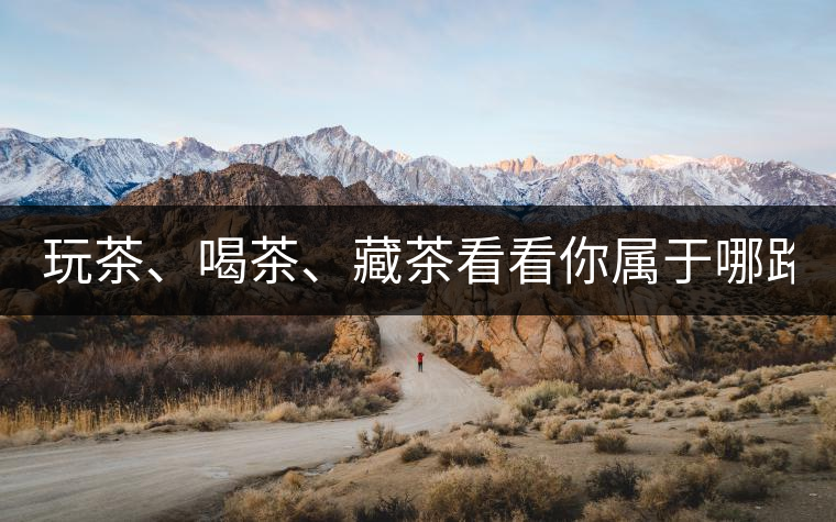 玩茶、喝茶、藏茶看看你屬于哪路茶神！