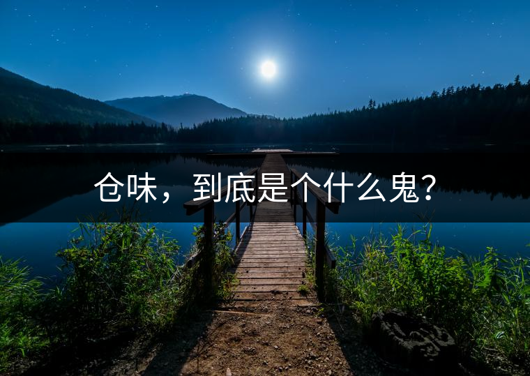 倉味，到底是個什么鬼？
