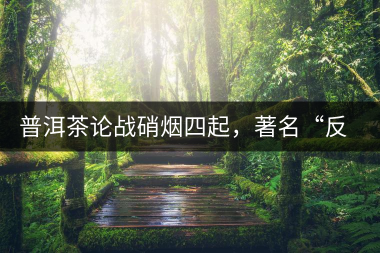 普洱茶論戰(zhàn)硝煙四起，著名“反偽斗士”司馬南有話說