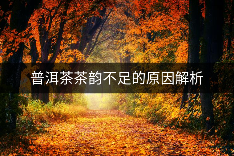 普洱茶茶韻不足的原因解析