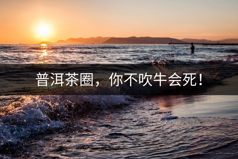 普洱茶圈，你不吹牛會死！