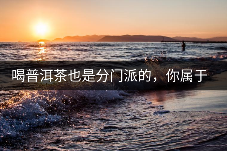 喝普洱茶也是分門(mén)派的，你屬于哪派呢？