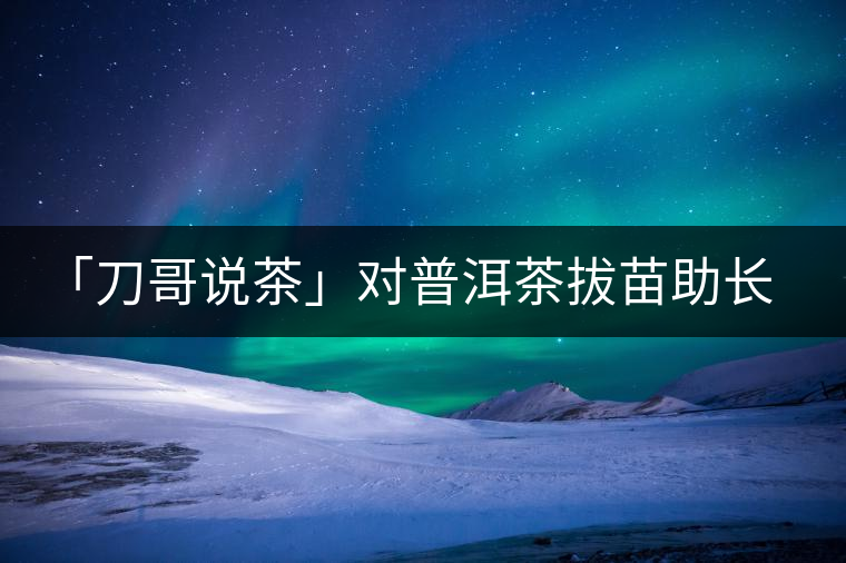 「刀哥說茶」對普洱茶拔苗助長的做舊就是在作死