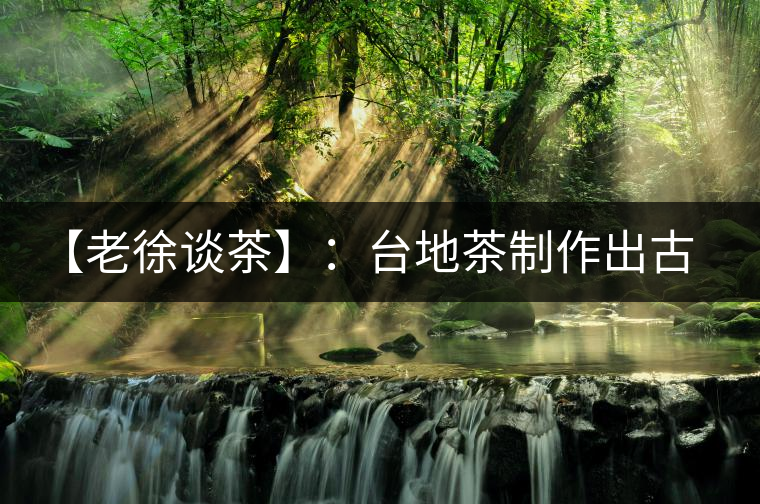【老徐談茶】：臺地茶制作出古樹茶口感？只需一招，輕松騙過你 ?