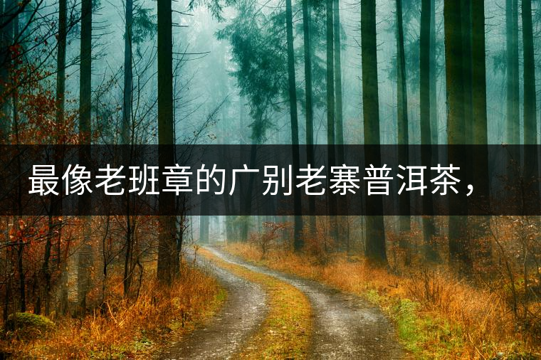 最像老班章的廣別老寨普洱茶，卻是冰島派來(lái)的臥底