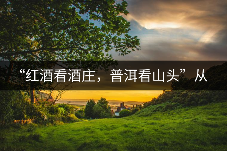 “紅酒看酒莊，普洱看山頭”從這里秒懂普洱茶的未來