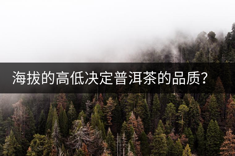 海拔的高低決定普洱茶的品質？【附：名山頭茶海拔表】