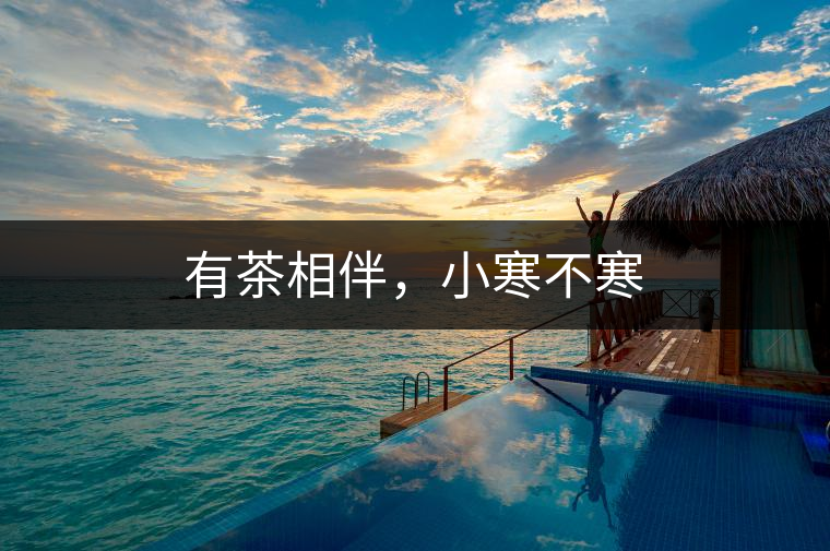 有茶相伴，小寒不寒