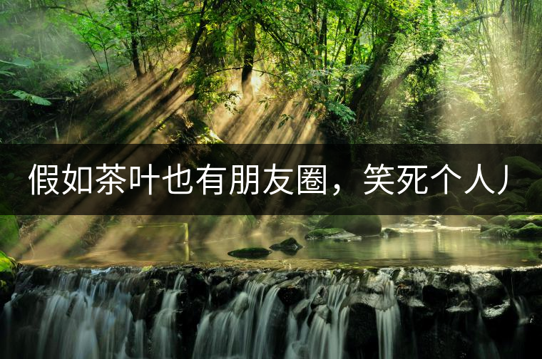 假如茶葉也有朋友圈，笑死個人兒...