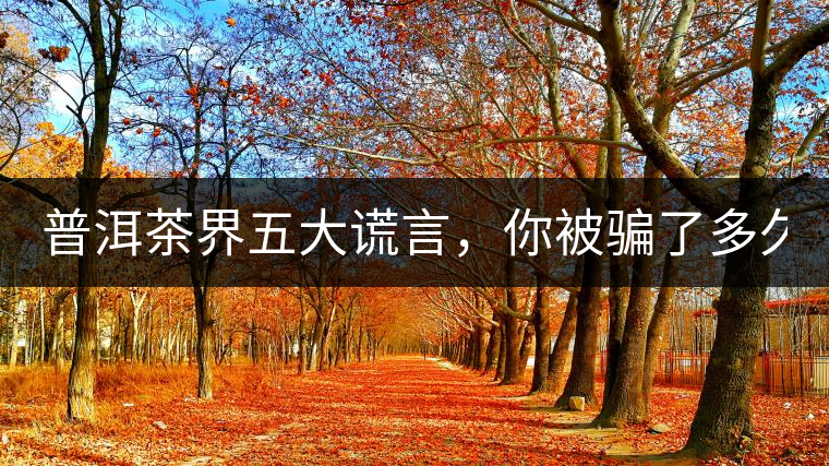 普洱茶界五大謊言，你被騙了多久？