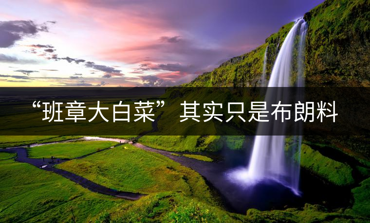 “班章大白菜”其實只是布朗料？