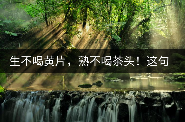 生不喝黃片，熟不喝茶頭！這句話你了解多少？