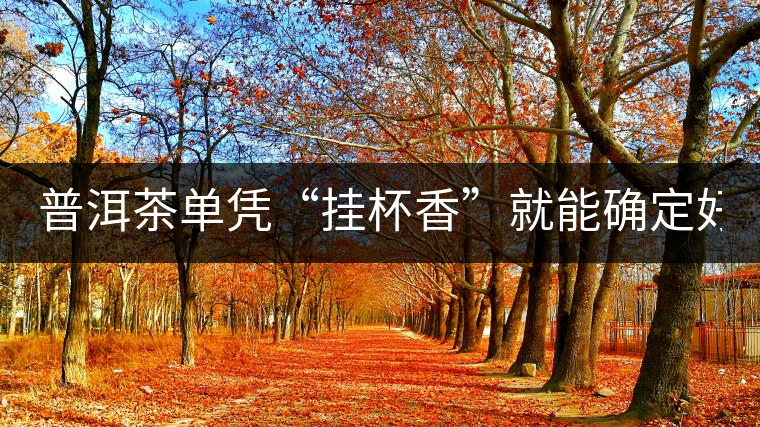 普洱茶單憑“掛杯香”就能確定好壞？you錯了！