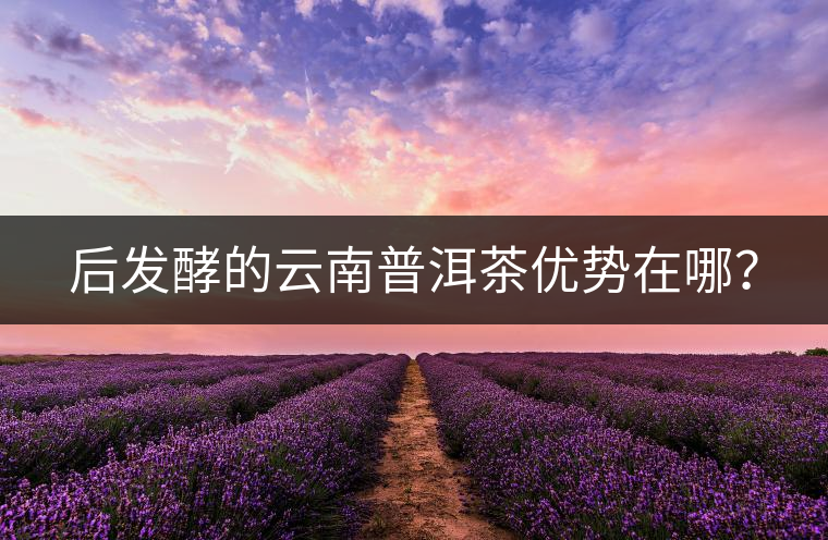 后發(fā)酵的云南普洱茶優(yōu)勢在哪？