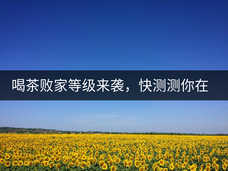 喝茶敗家等級(jí)來(lái)襲，快測(cè)測(cè)你在哪一級(jí)？