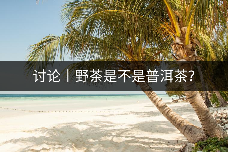 討論丨野茶是不是普洱茶？