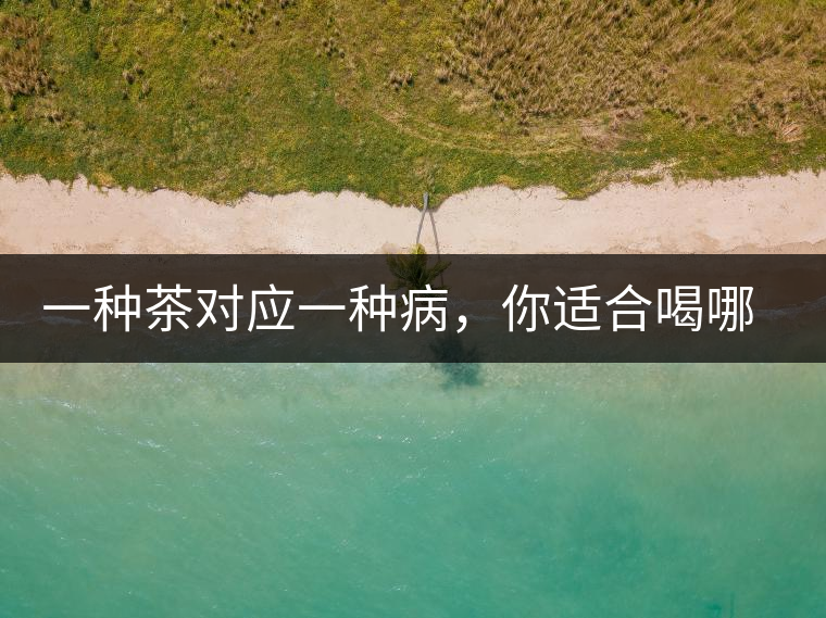 一種茶對應一種病，你適合喝哪一種呢？