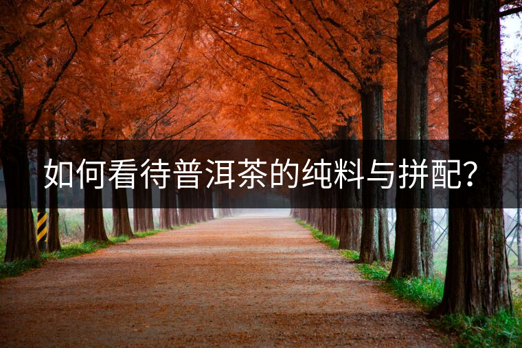 如何看待普洱茶的純料與拼配？