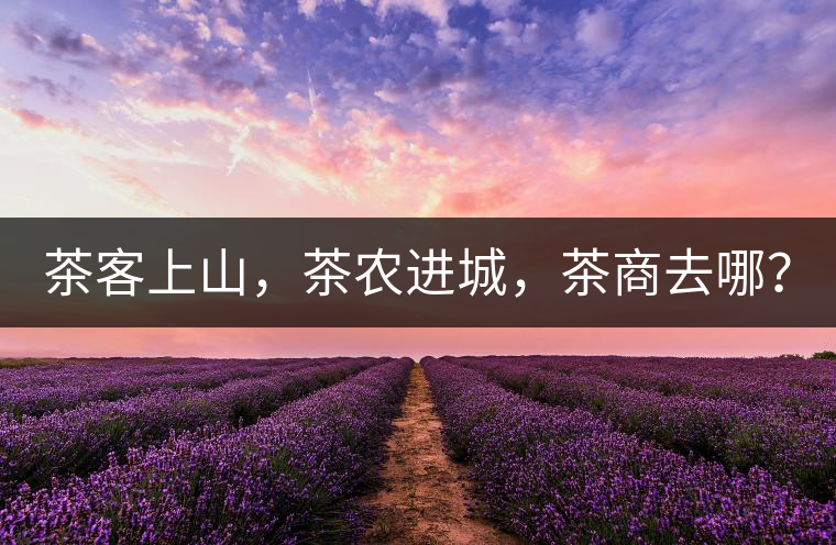 茶客上山，茶農(nóng)進(jìn)城，茶商去哪？