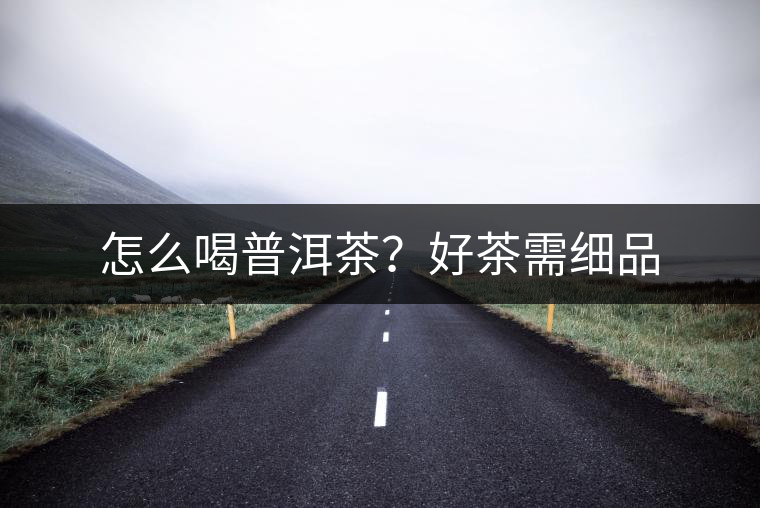 怎么喝普洱茶？好茶需細品
