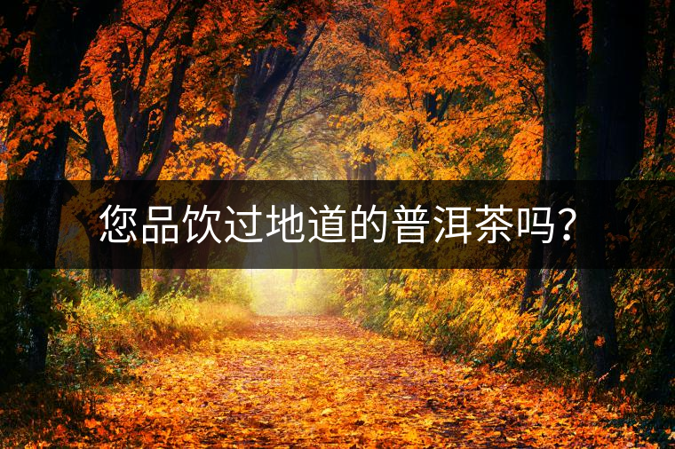 您品飲過地道的普洱茶嗎？