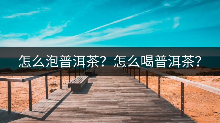 怎么泡普洱茶？怎么喝普洱茶？