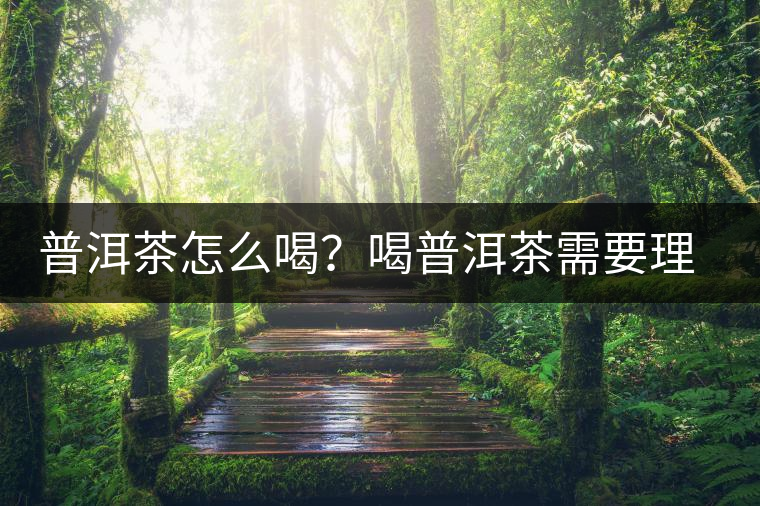 普洱茶怎么喝？喝普洱茶需要理由嗎？