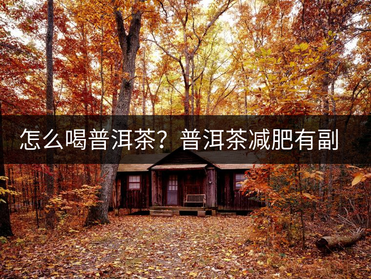 怎么喝普洱茶？普洱茶減肥有副作用嗎？