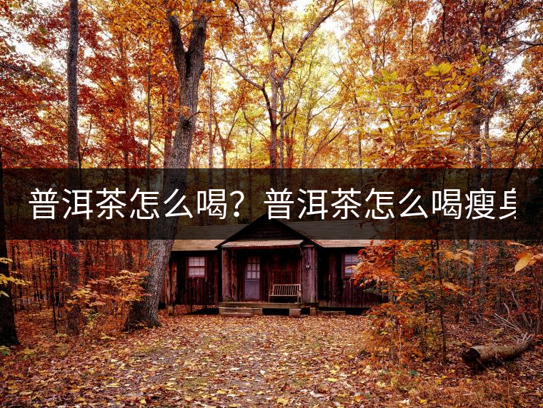 普洱茶怎么喝？普洱茶怎么喝瘦身？