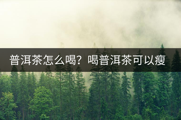 普洱茶怎么喝？喝普洱茶可以瘦腹嗎？