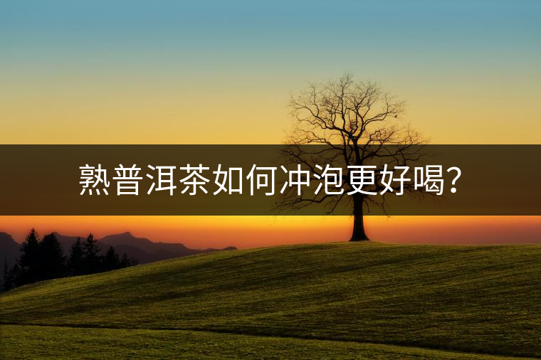 熟普洱茶如何沖泡更好喝？