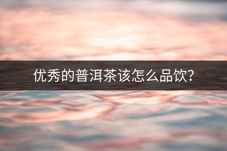 優(yōu)秀的普洱茶該怎么品飲？