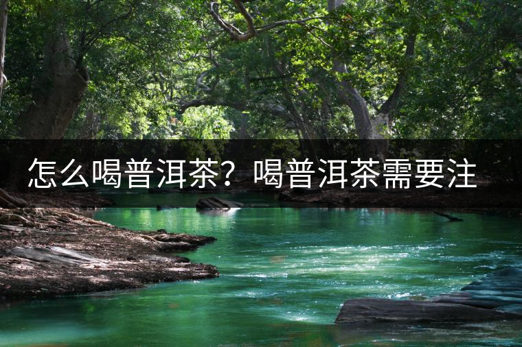 怎么喝普洱茶？喝普洱茶需要注意的要點(diǎn)