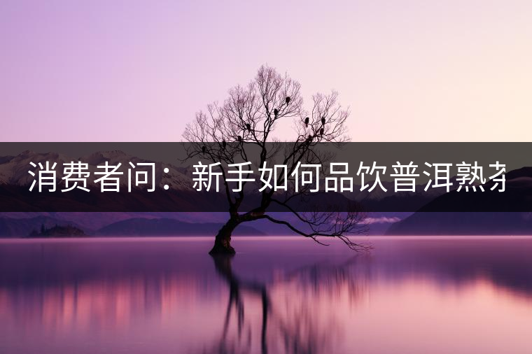 消費(fèi)者問(wèn)：新手如何品飲普洱熟茶？