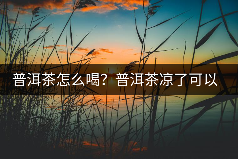 普洱茶怎么喝？普洱茶涼了可以喝嗎？