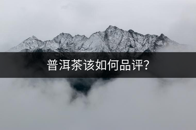 普洱茶該如何品評(píng)？
