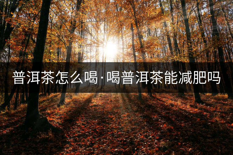 普洱茶怎么喝·喝普洱茶能減肥嗎？