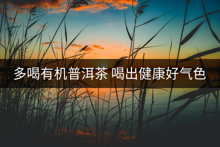多喝有機普洱茶 喝出健康好氣色