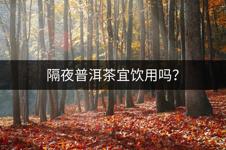 隔夜普洱茶宜飲用嗎？