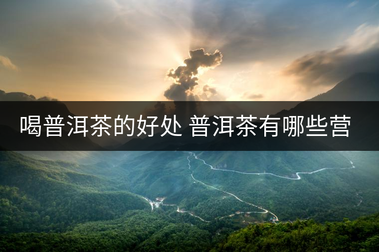 喝普洱茶的好處 普洱茶有哪些營養(yǎng)價(jià)值？