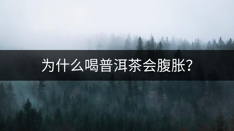 為什么喝普洱茶會(huì)腹脹？