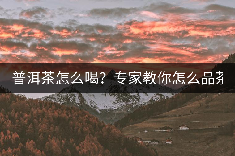 普洱茶怎么喝？專(zhuān)家教你怎么品茶？