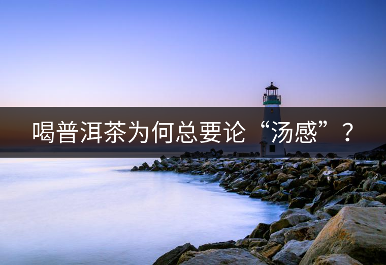 喝普洱茶為何總要論“湯感”？