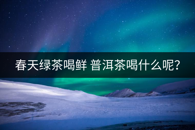 春天綠茶喝鮮 普洱茶喝什么呢？